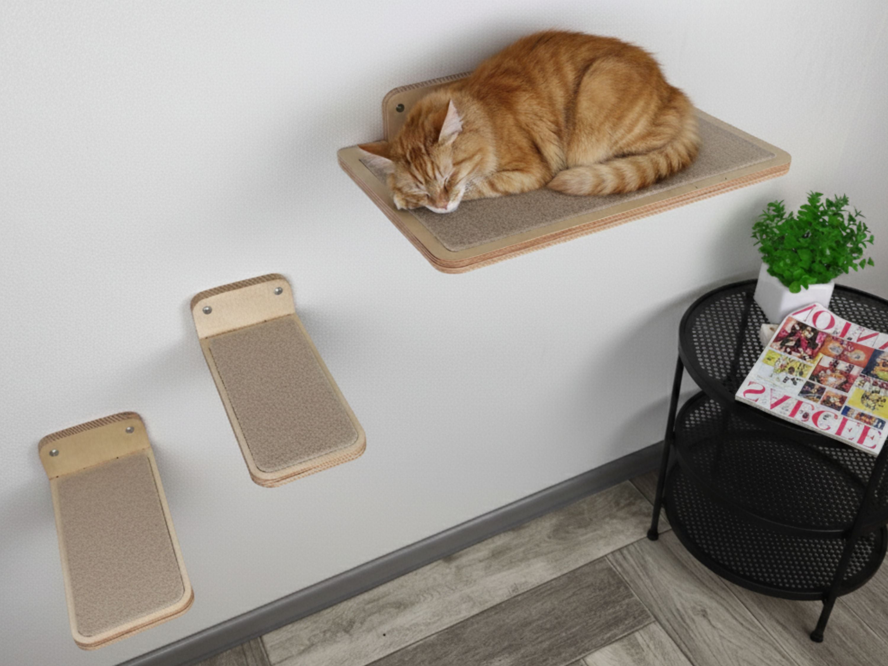 Carpeted Wall Mounted Cat Shelf with Steps