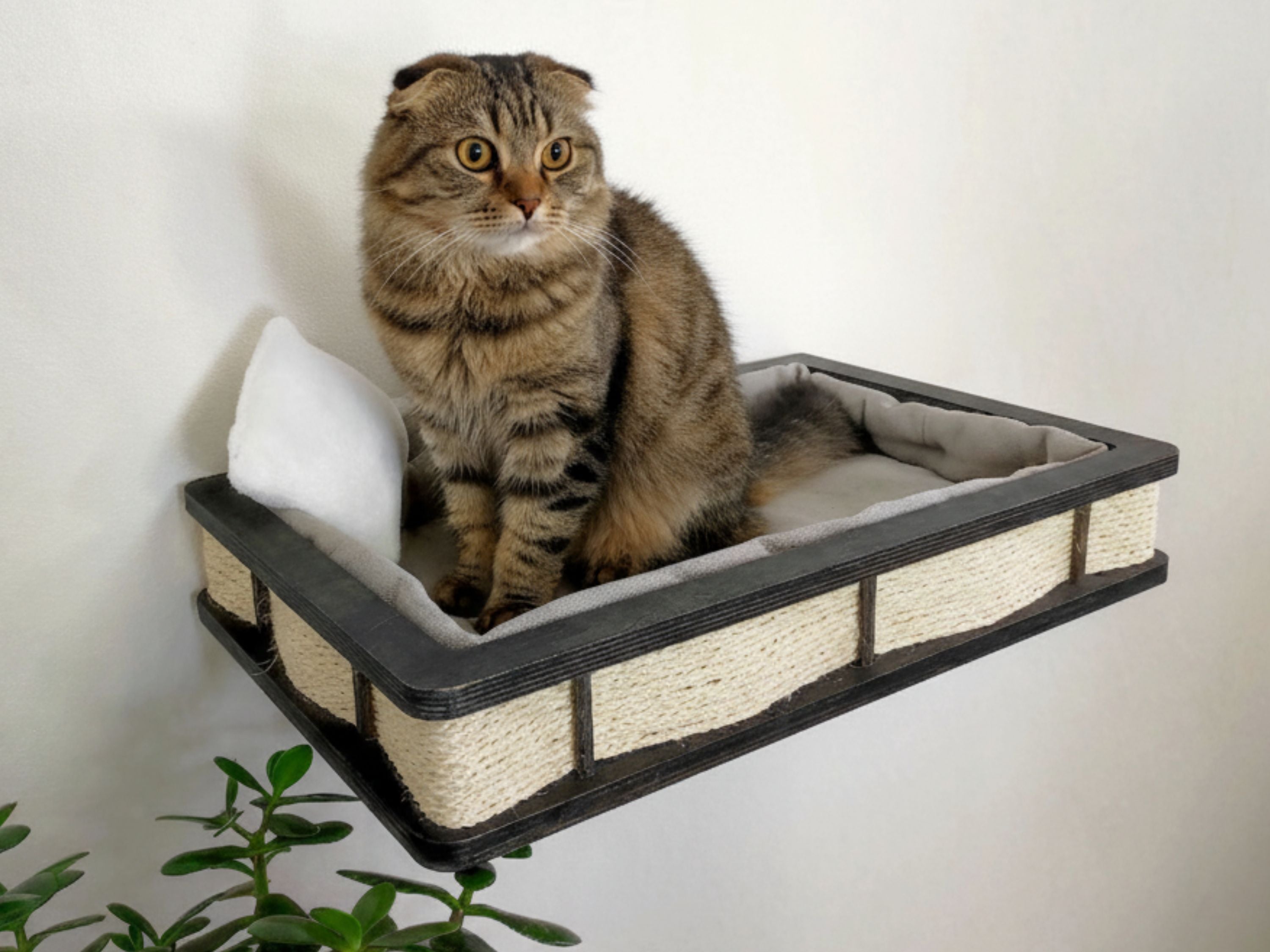 Wall-Mounted Cat Bed with Scratching Post & Steps �?