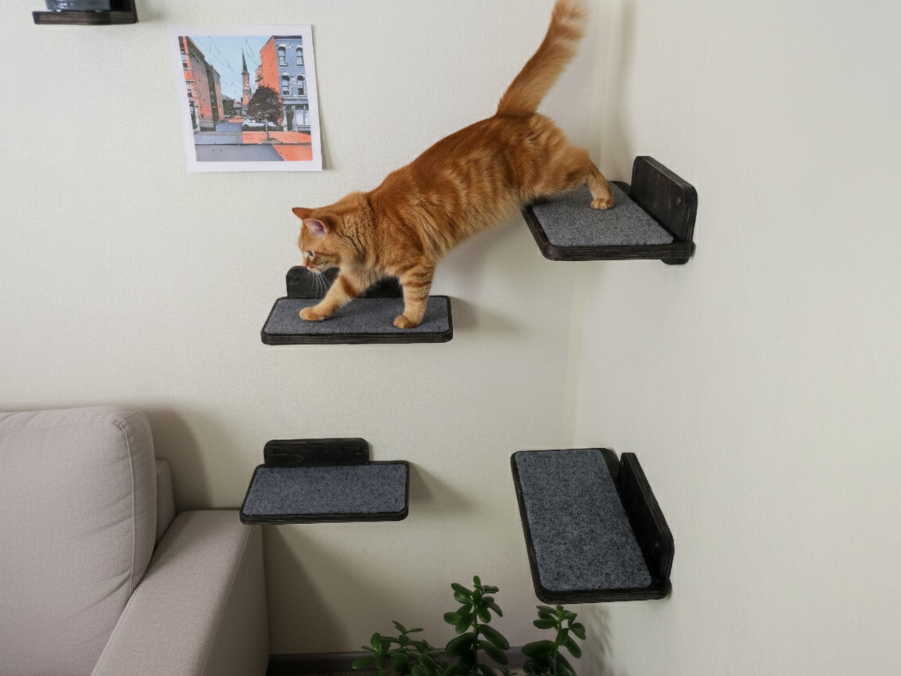 Set of Cat Wall Shelves for Room Corner