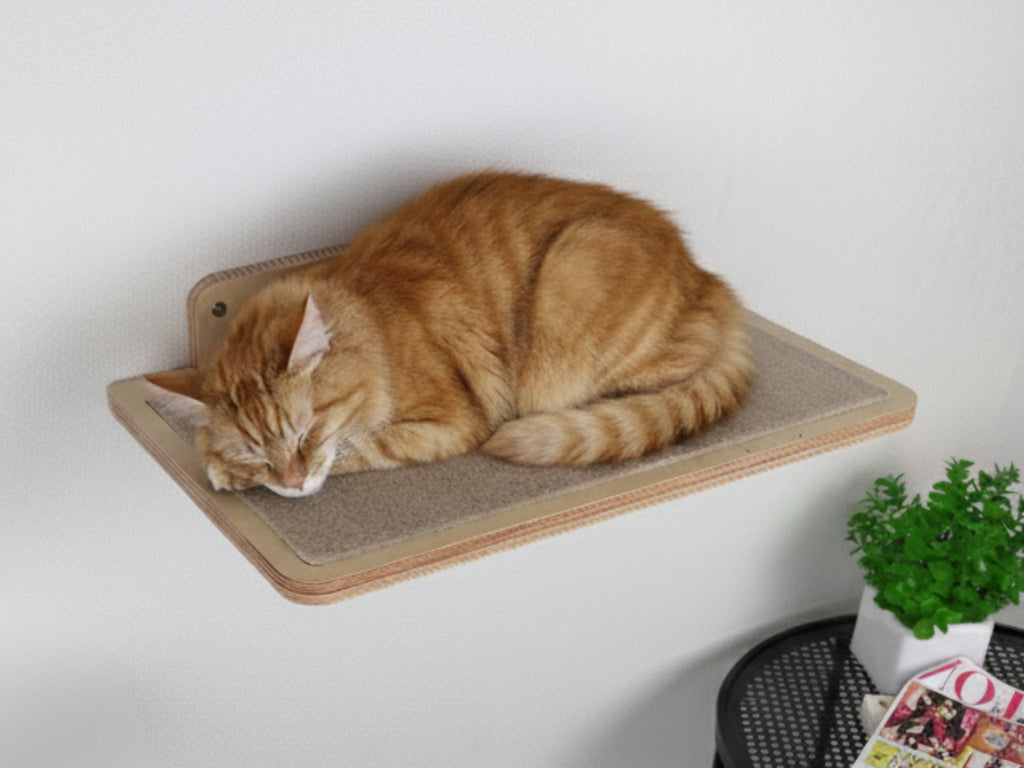 Cat Wall Mounted Shelves with Carpet