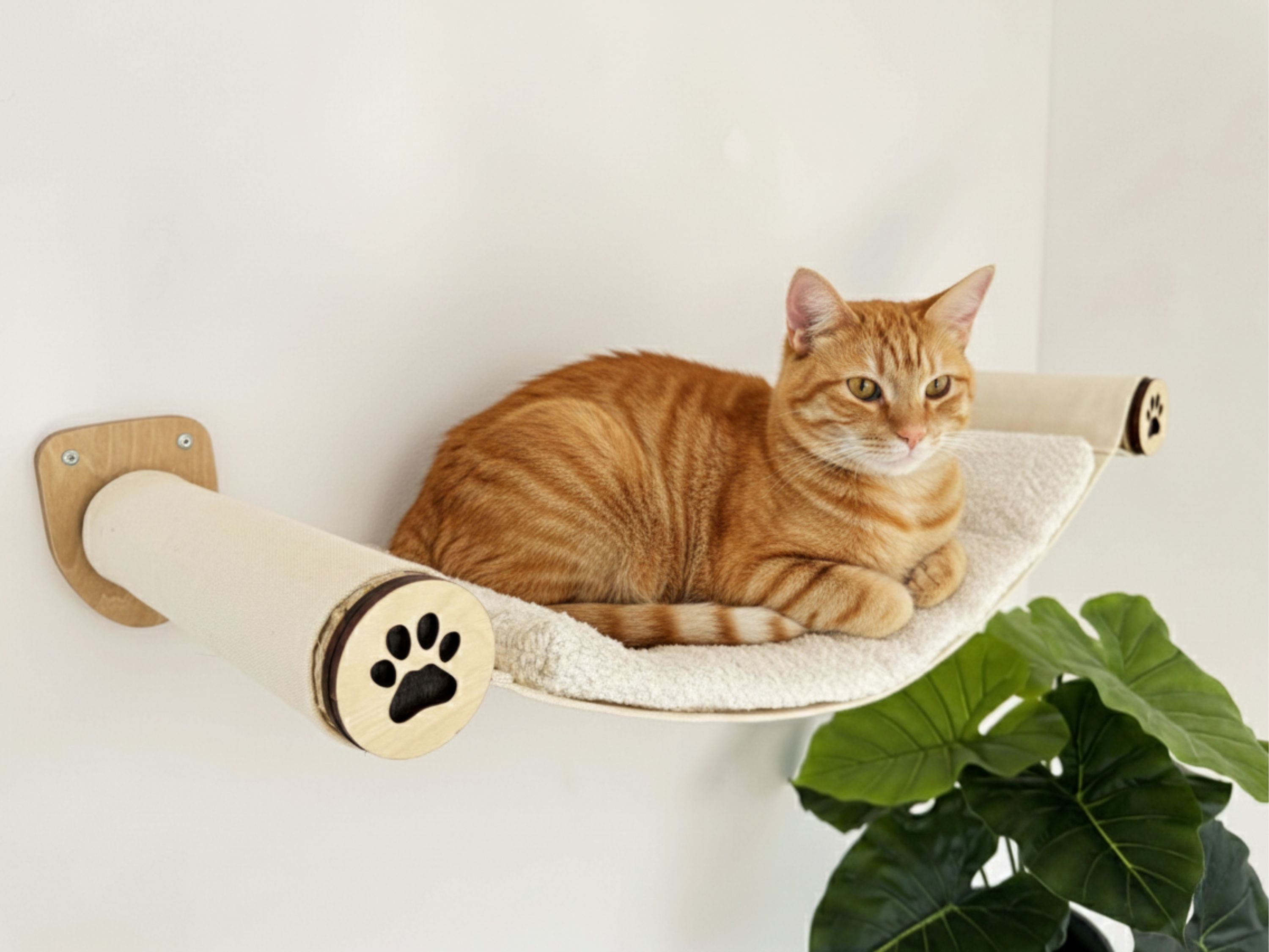 Wall-Mounted Cat Hammock with Cushion