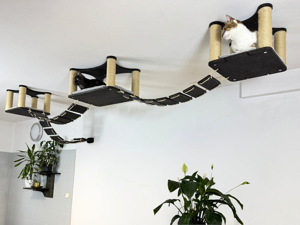 Ceiling Cat Adventure Set �?Shelves & Climbing Bridges