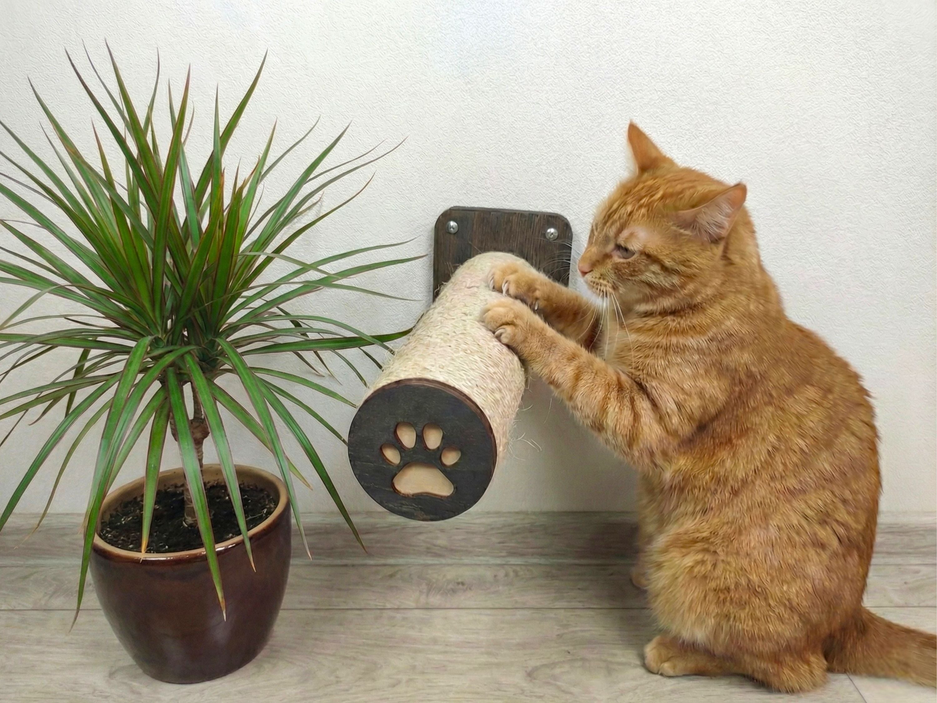 Sisal Cat Wall Step