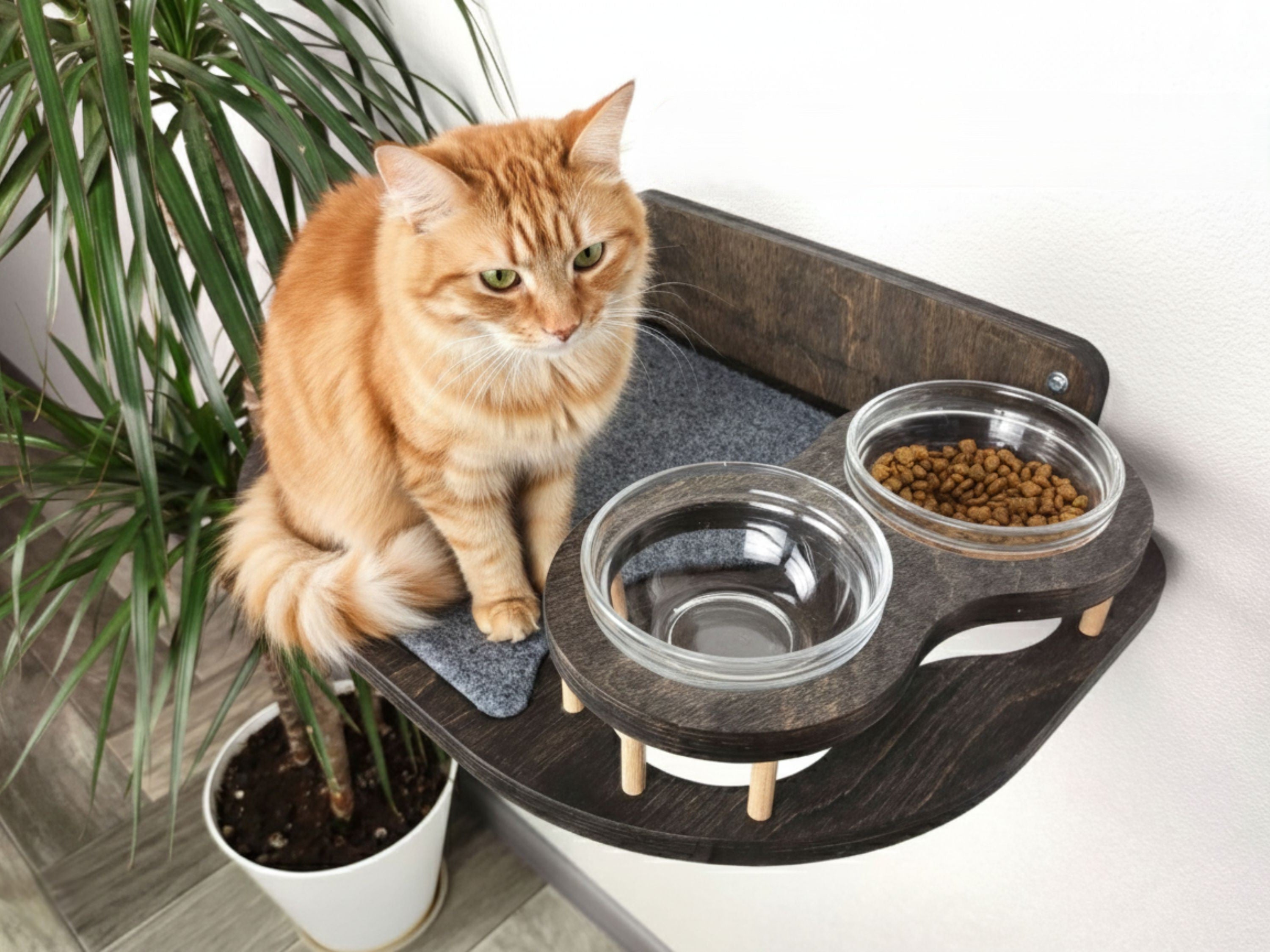 Cat Feeding Shelf With 2 Bowls (Wall-Mounted)