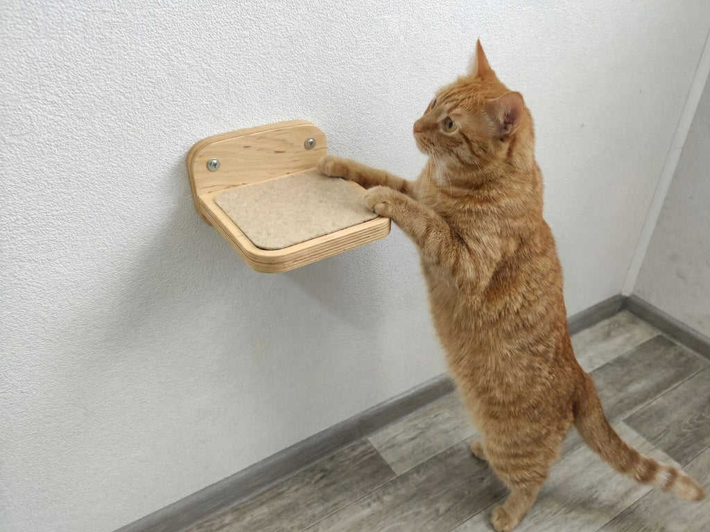 Mini Cat Wall Step