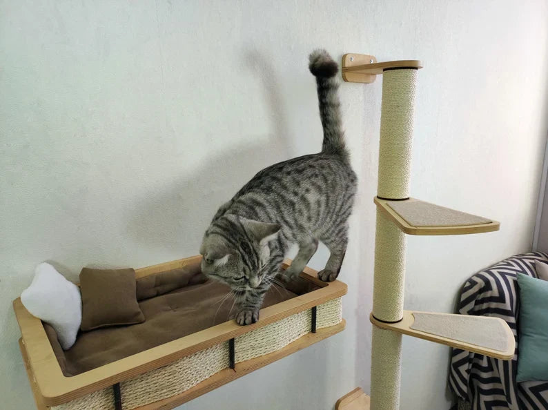 Wall Mounted Cat bed with Cat Scratching post