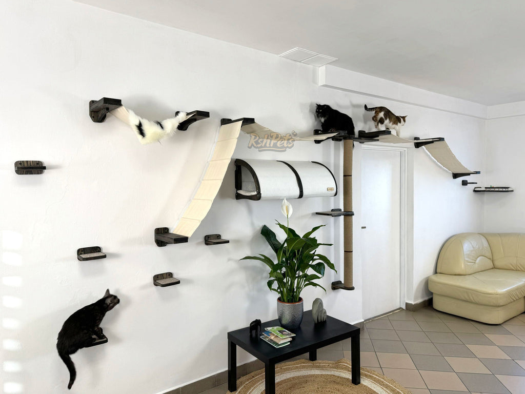 Modern Cat Wall Furniture Set �C Complete Playground for Cat