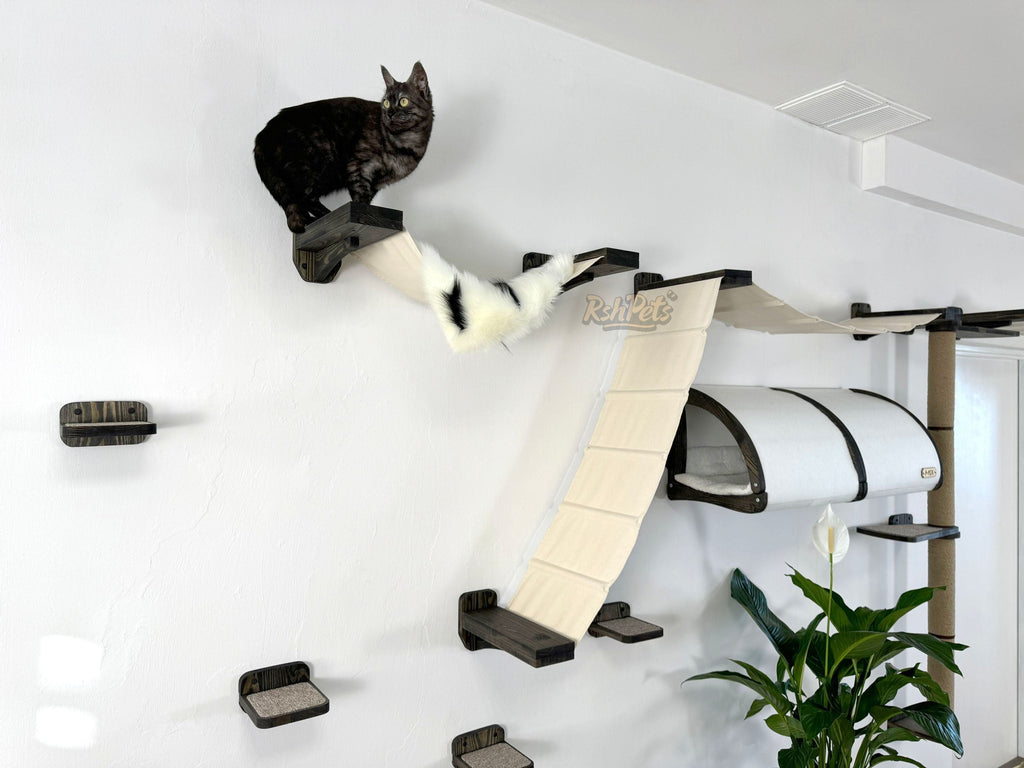 Modern Cat Wall Furniture Set �C Complete Playground for Cat