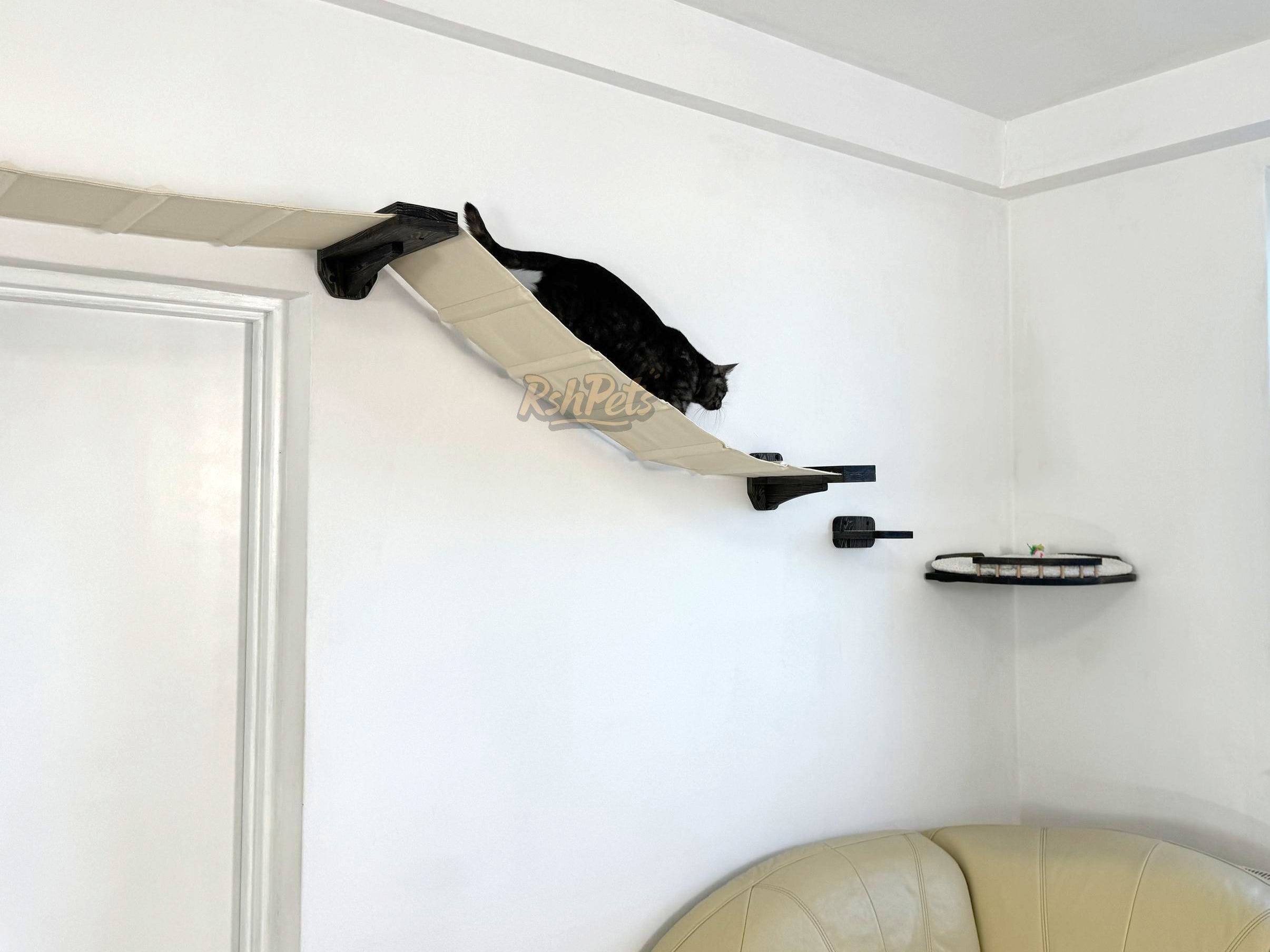 Modern Cat Wall Furniture Set �C Complete Playground for Cat