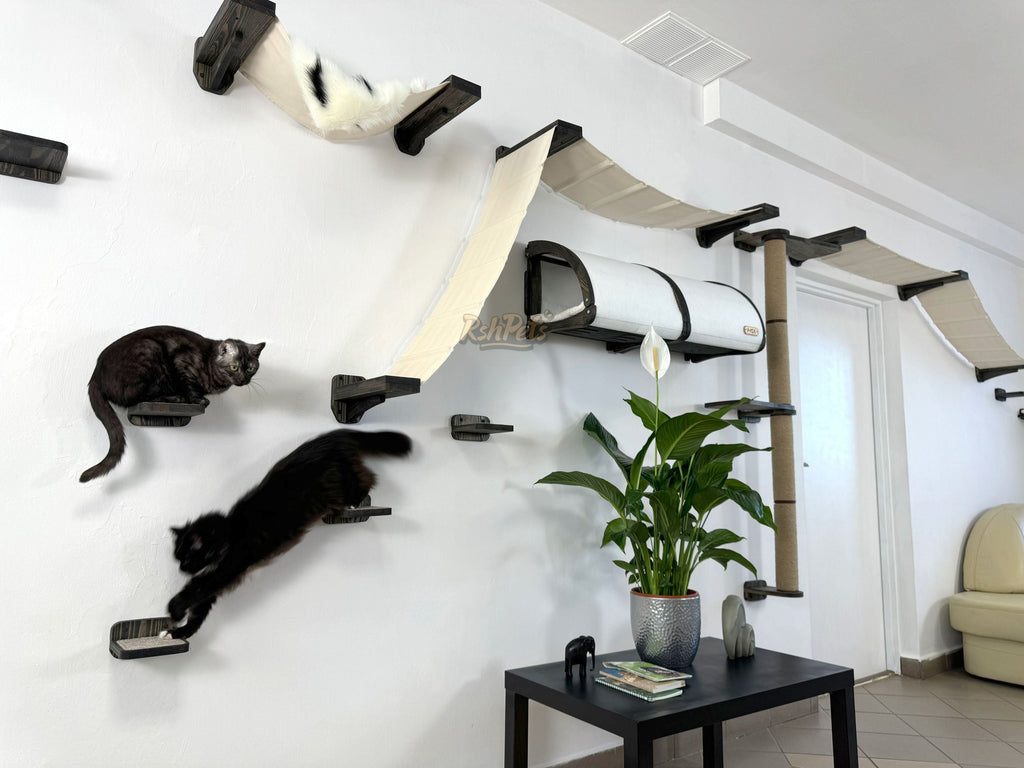 Modern Cat Wall Furniture Set �C Complete Playground for Cat