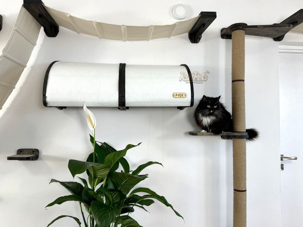 Modern Cat Wall Furniture Set �C Complete Playground for Cat