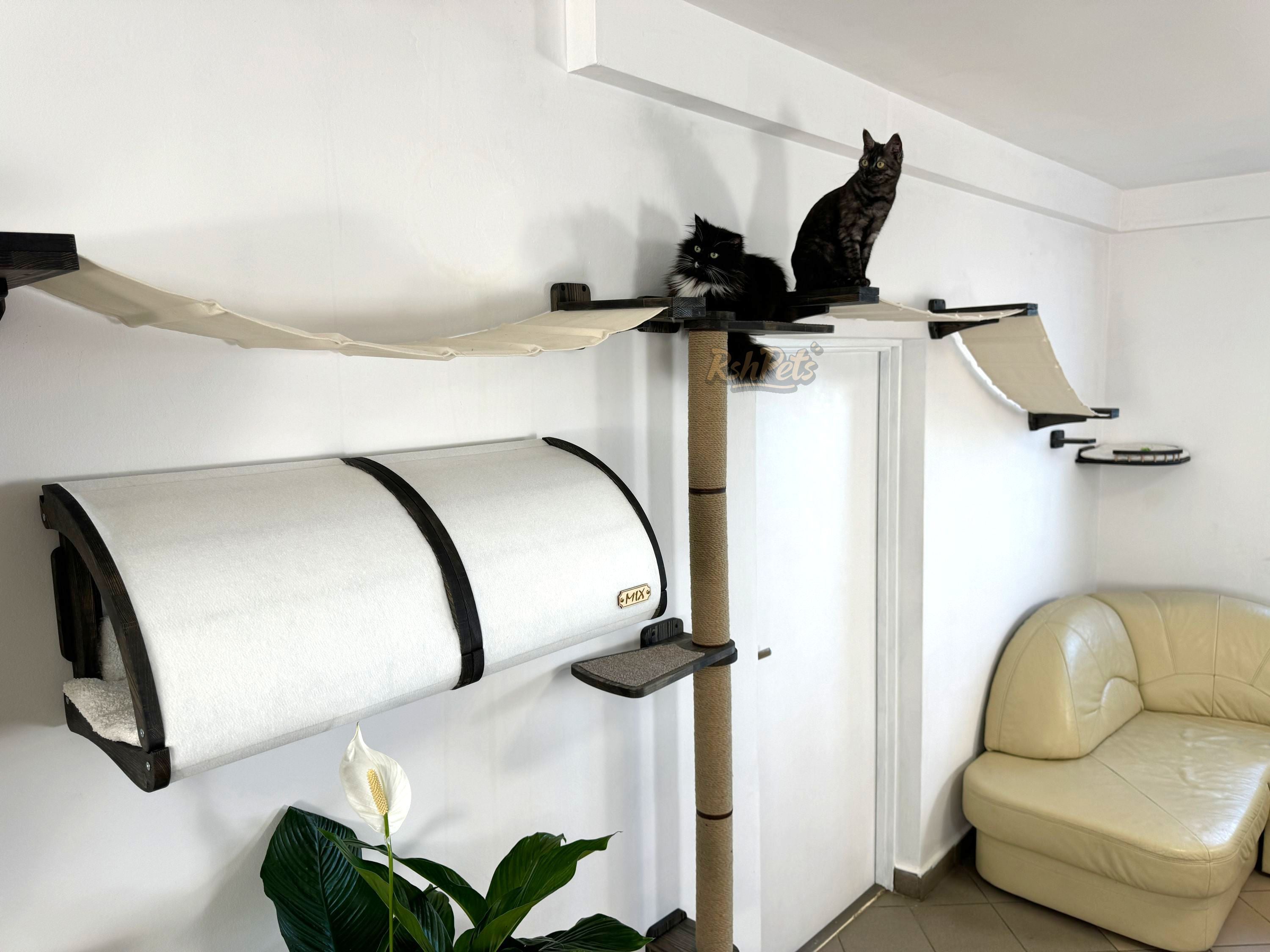 Modern Cat Wall Furniture Set �C Complete Playground for Cat