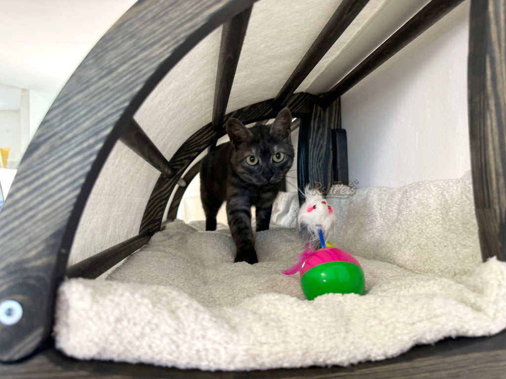 Modern Cat Wall Furniture Set �C Complete Playground for Cat
