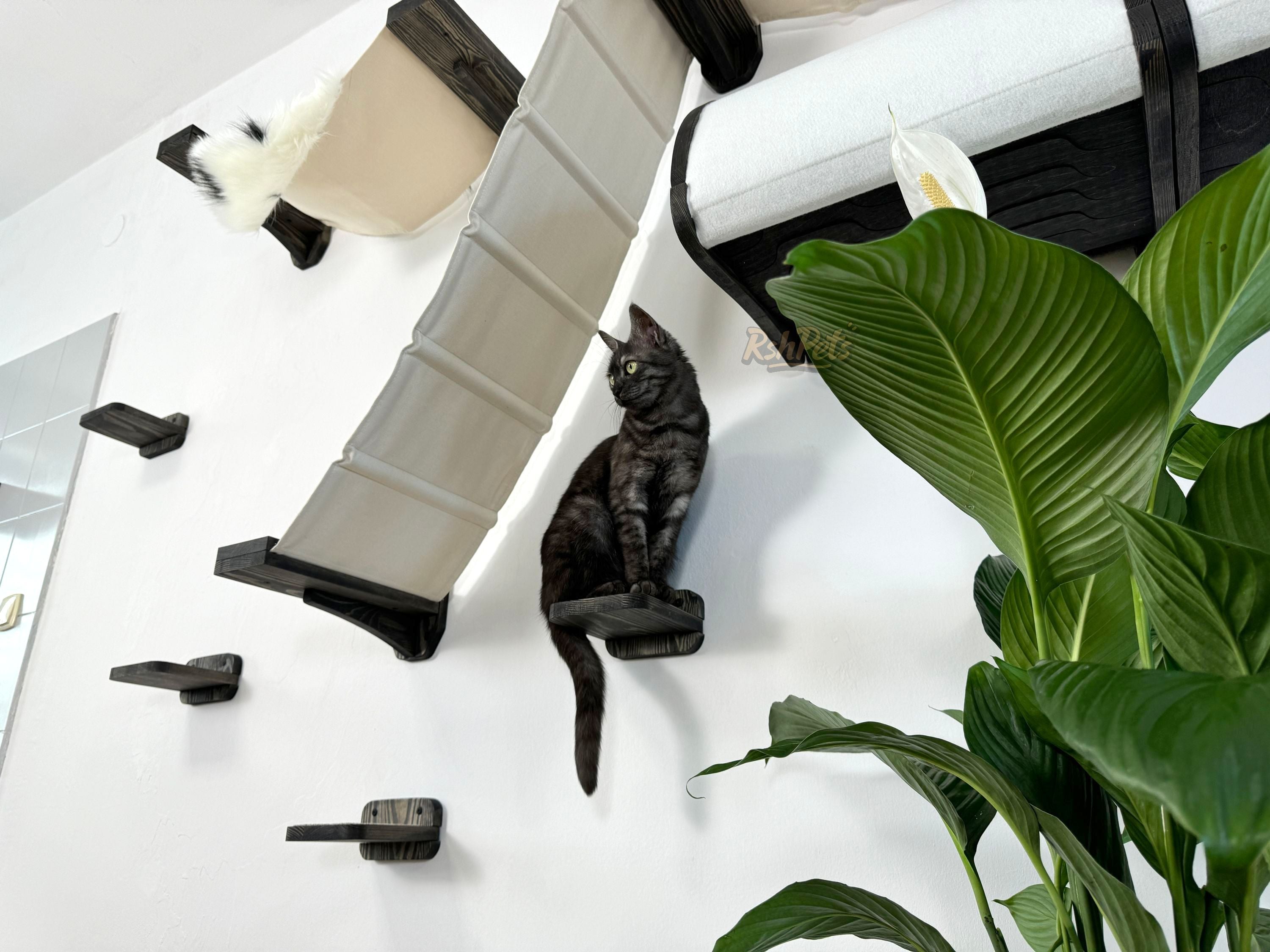 Modern Cat Wall Furniture Set �C Complete Playground for Cat