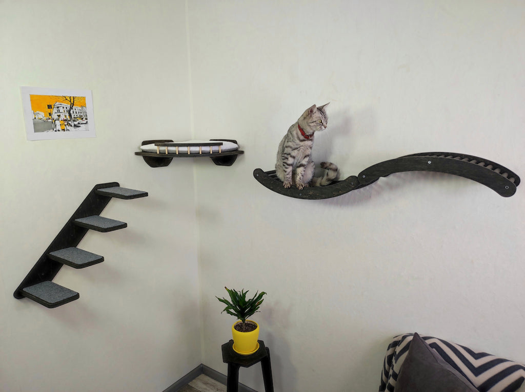 Cat Wall Playground - Steps, Shelf & Climbing Wave