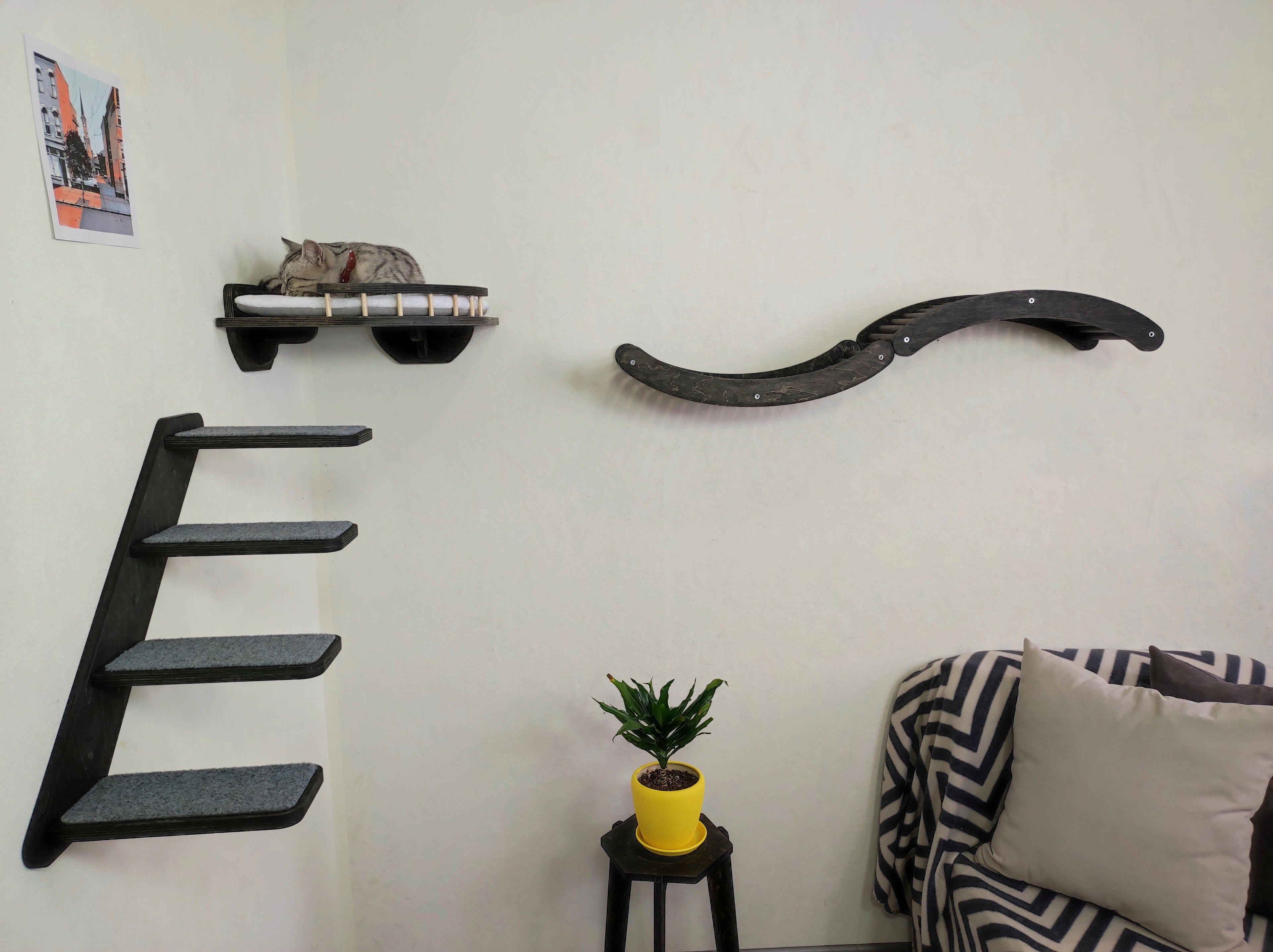 Cat Wall Playground - Steps, Shelf & Climbing Wave