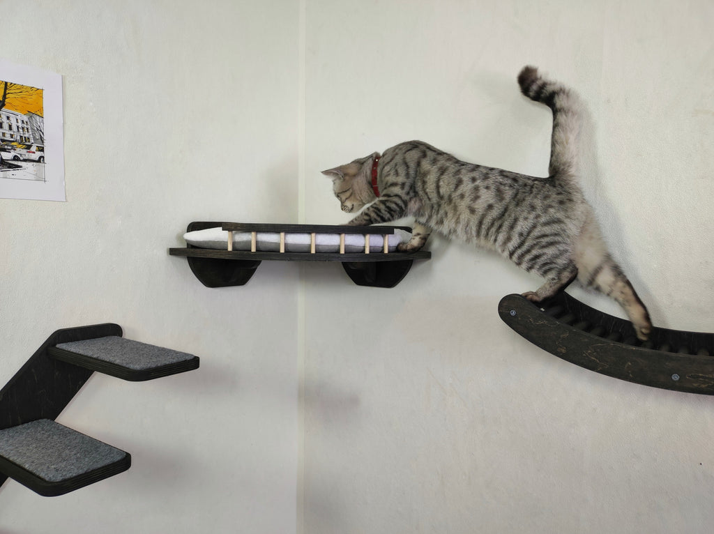 Cat Wall Playground - Steps, Shelf & Climbing Wave