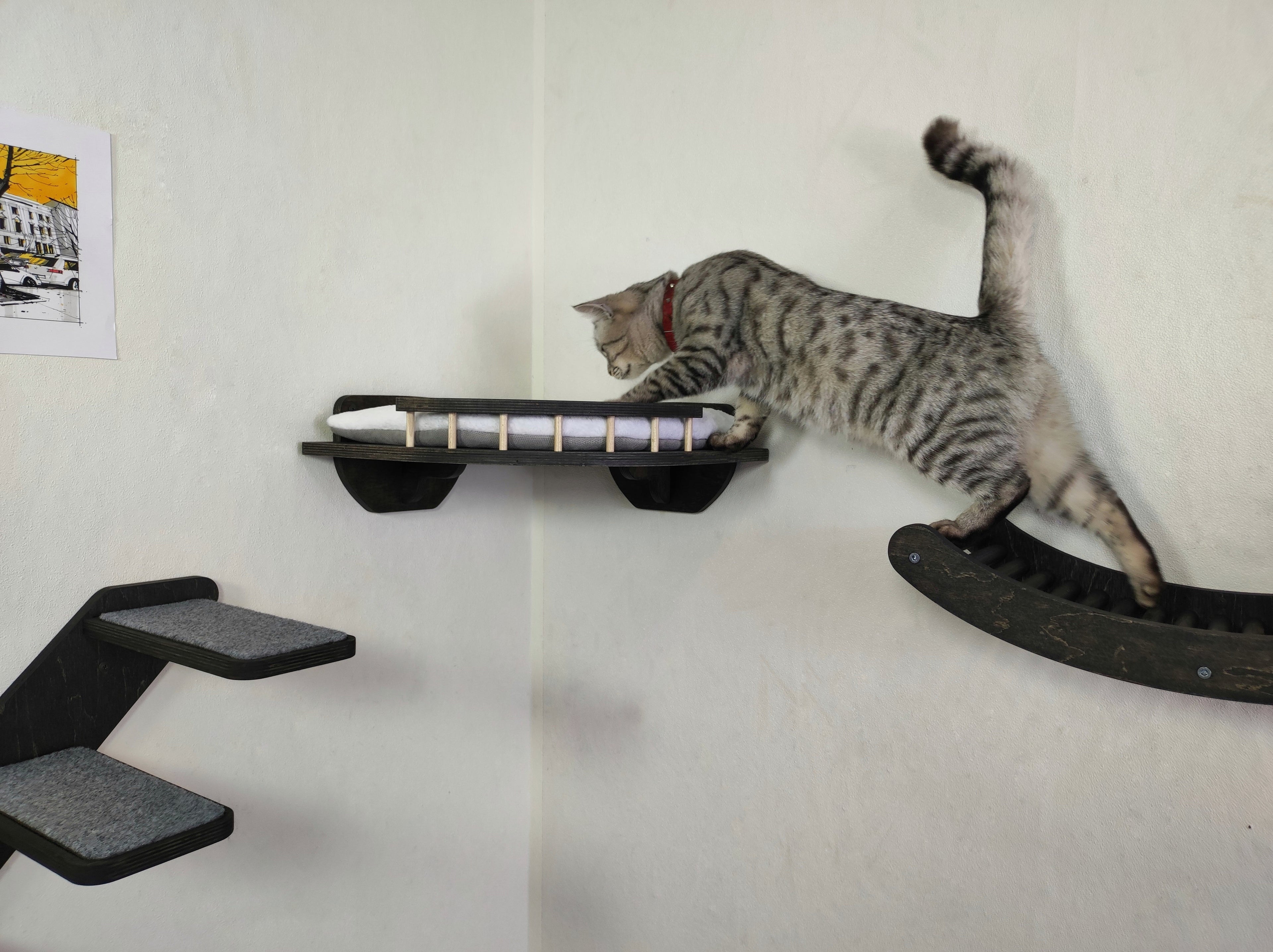 Cat Wall Playground - Steps, Shelf & Climbing Wave