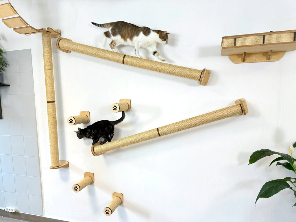Full Ceiling & Wall Cat System with Climbing Zone