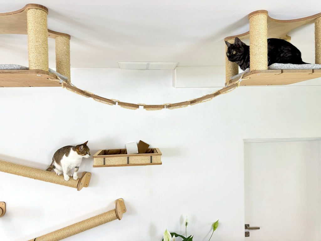 Full Ceiling & Wall Cat System with Climbing Zone