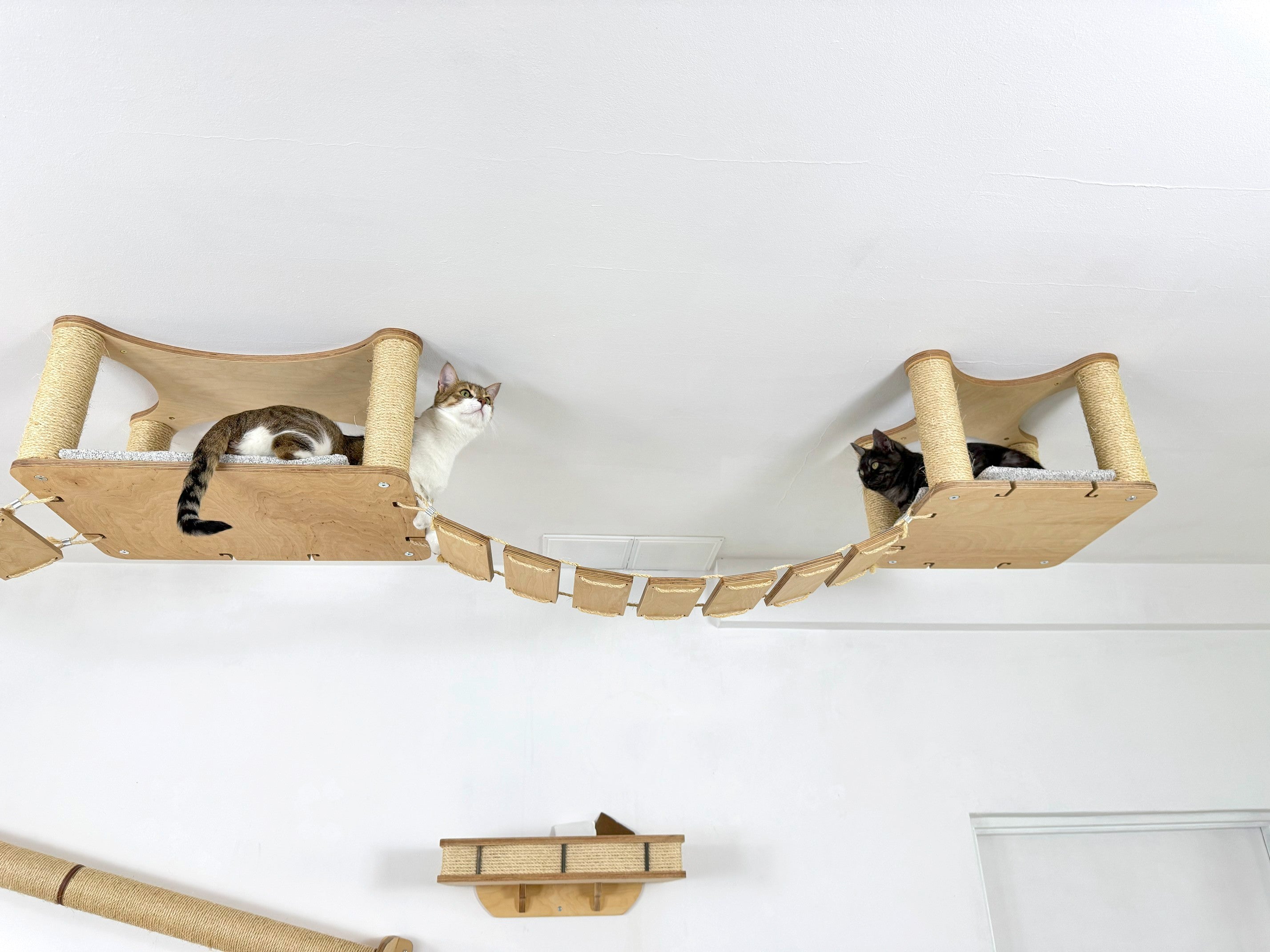 Ceiling and Wall Cat Furniture Set with Climbing Posts