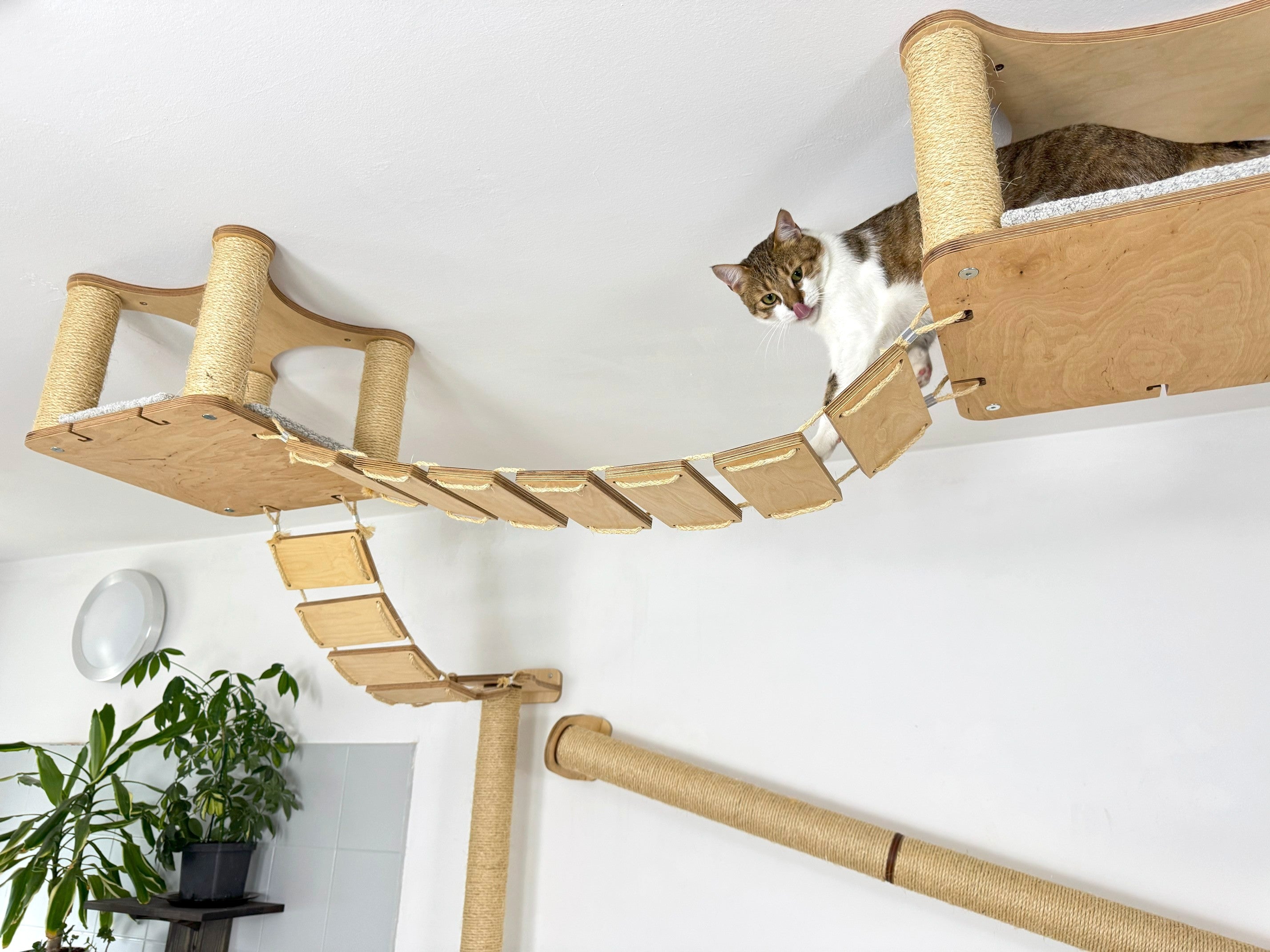 Ceiling and Wall Cat Furniture Set with Climbing Posts