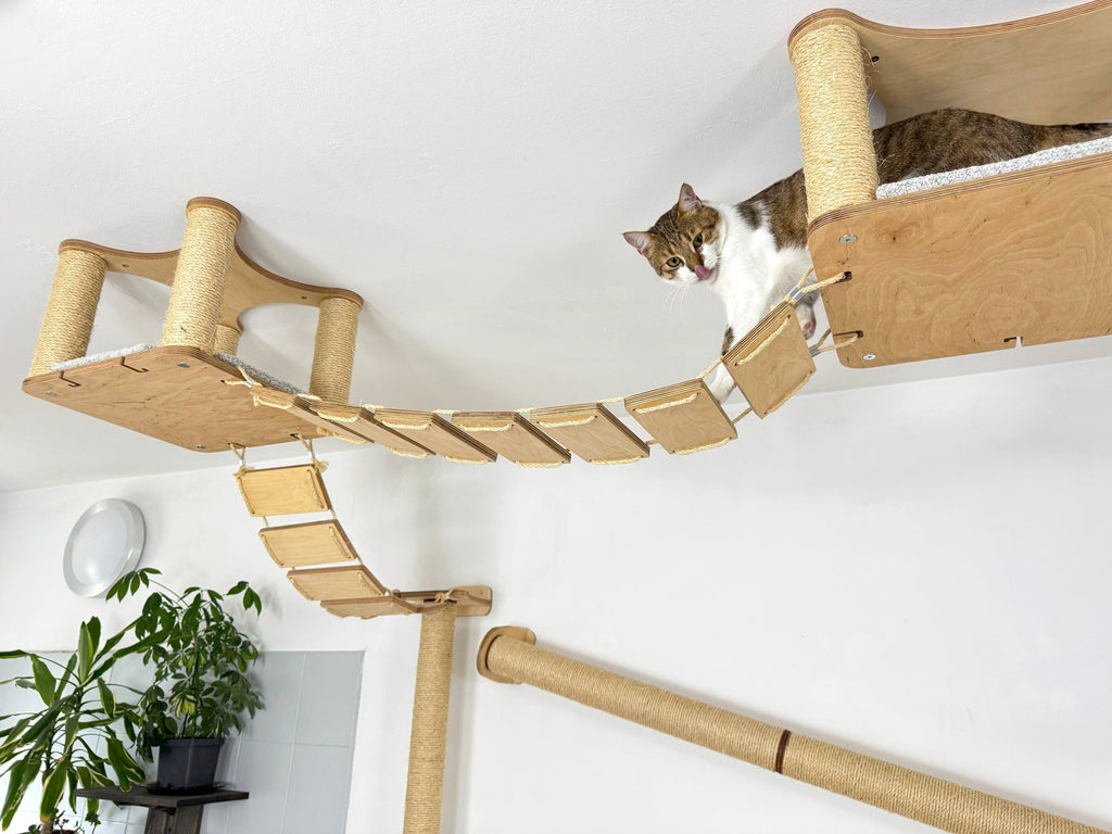 Full Ceiling & Wall Cat System with Climbing Zone