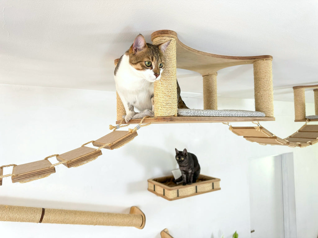 Ceiling and Wall Cat Furniture Set with Climbing Posts