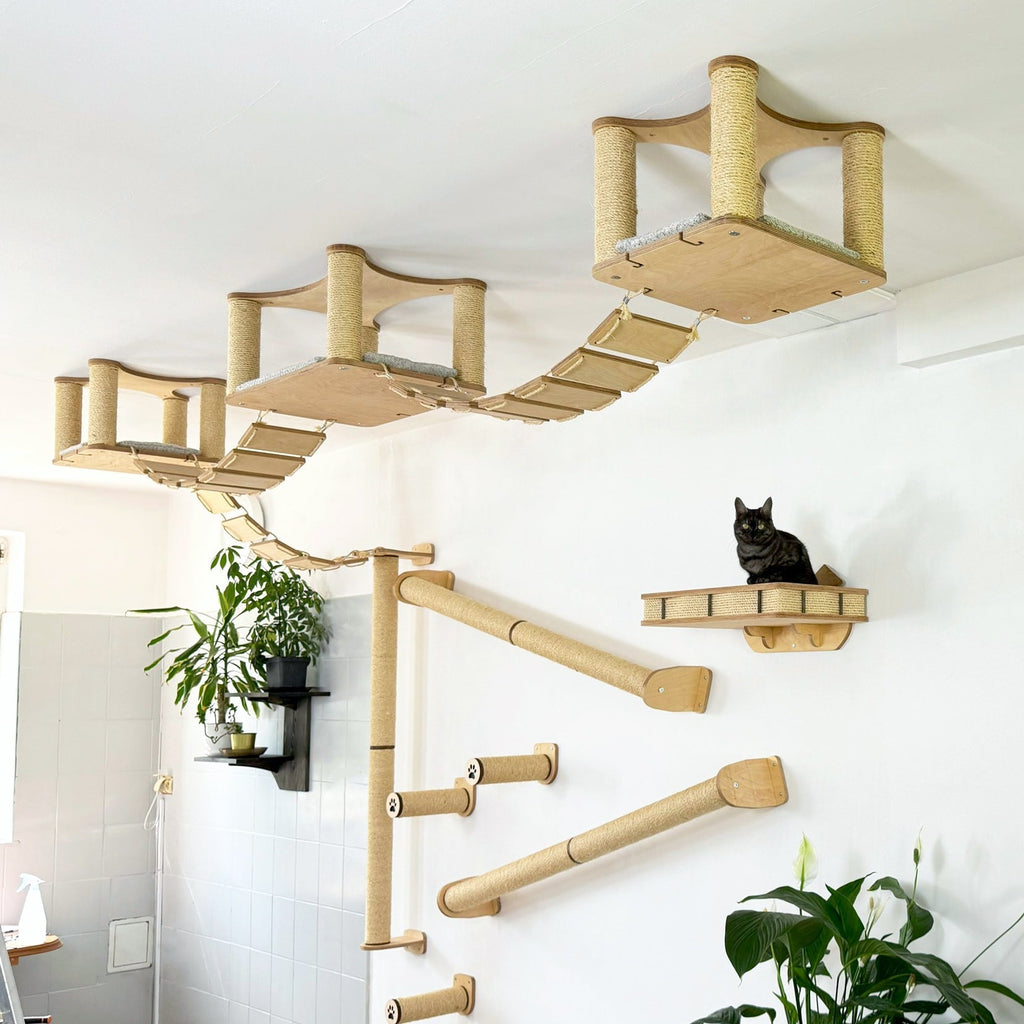 Full Ceiling & Wall Cat System with Climbing Zone