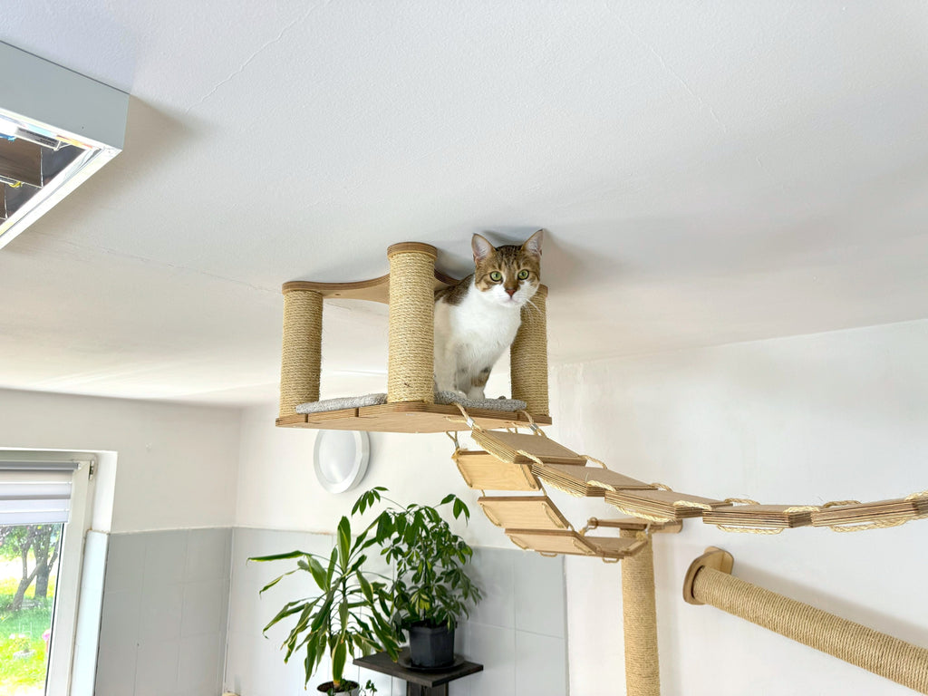 Ceiling and Wall Cat Furniture Set with Climbing Posts