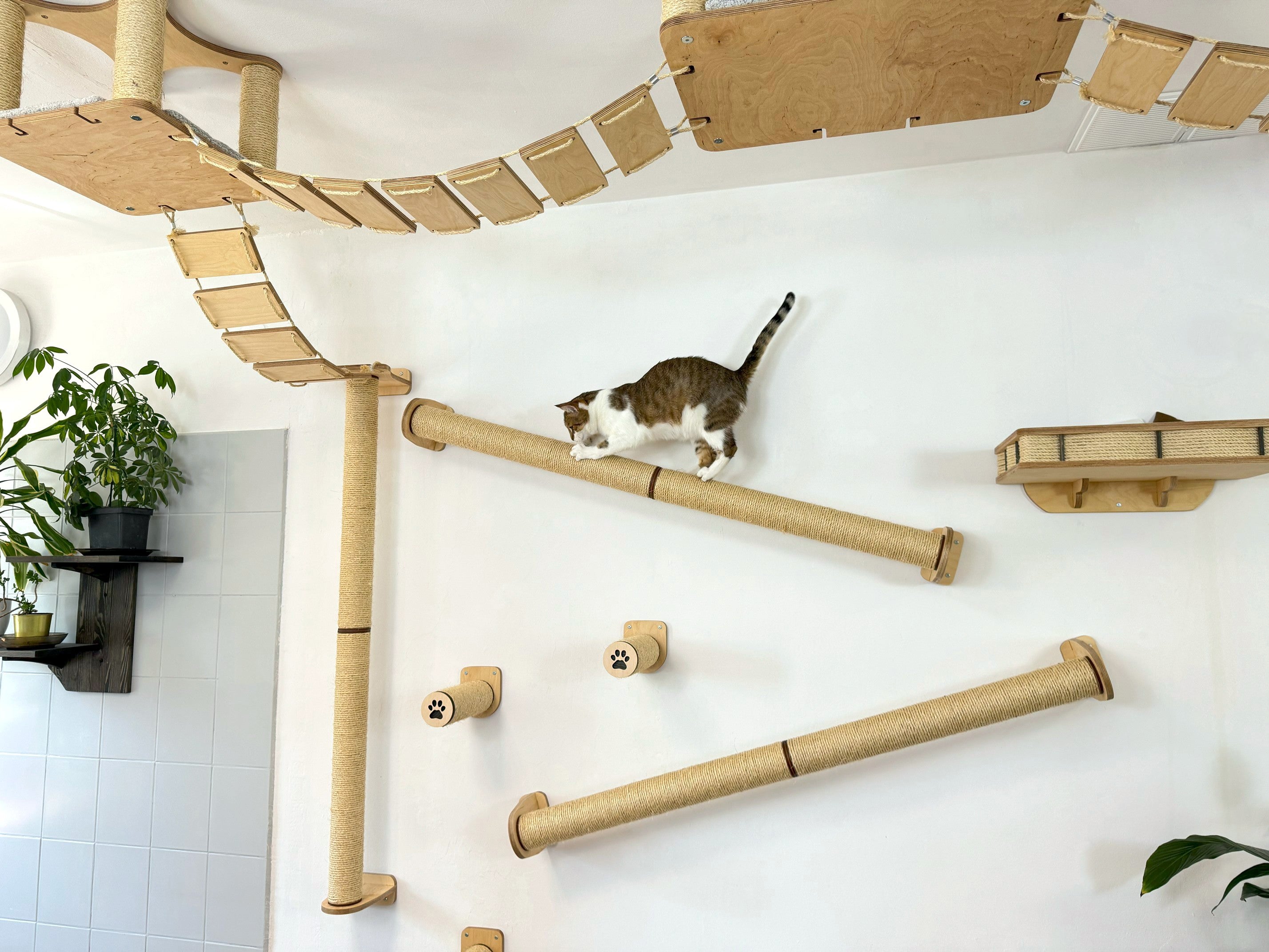 Ceiling and Wall Cat Furniture Set with Climbing Posts
