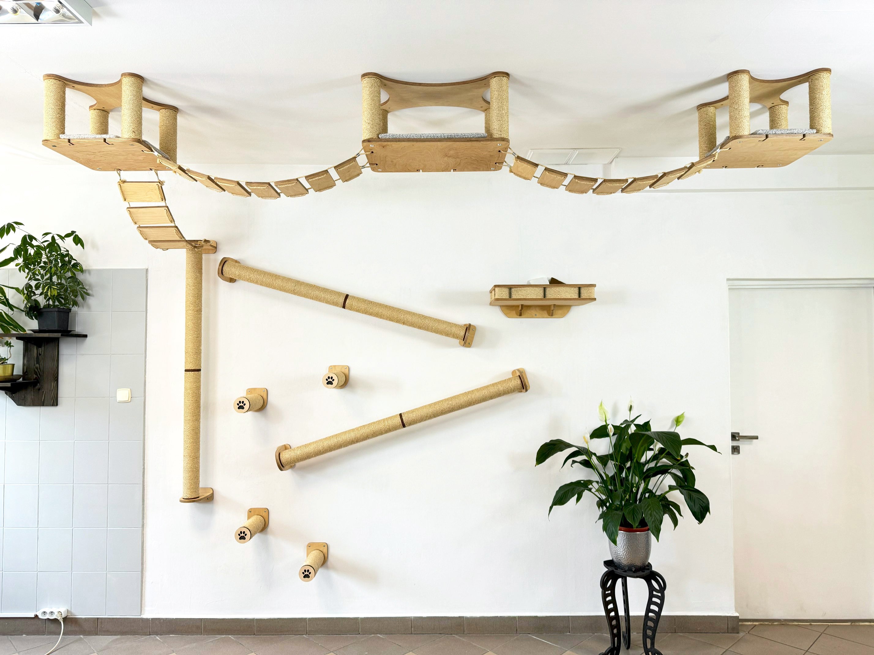 Full Ceiling & Wall Cat System with Climbing Zone