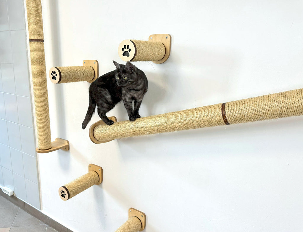 Ceiling and Wall Cat Furniture Set with Climbing Posts