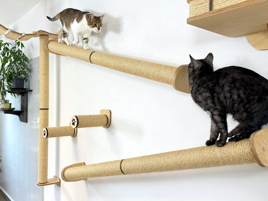 Ceiling and Wall Cat Furniture Set with Climbing Posts