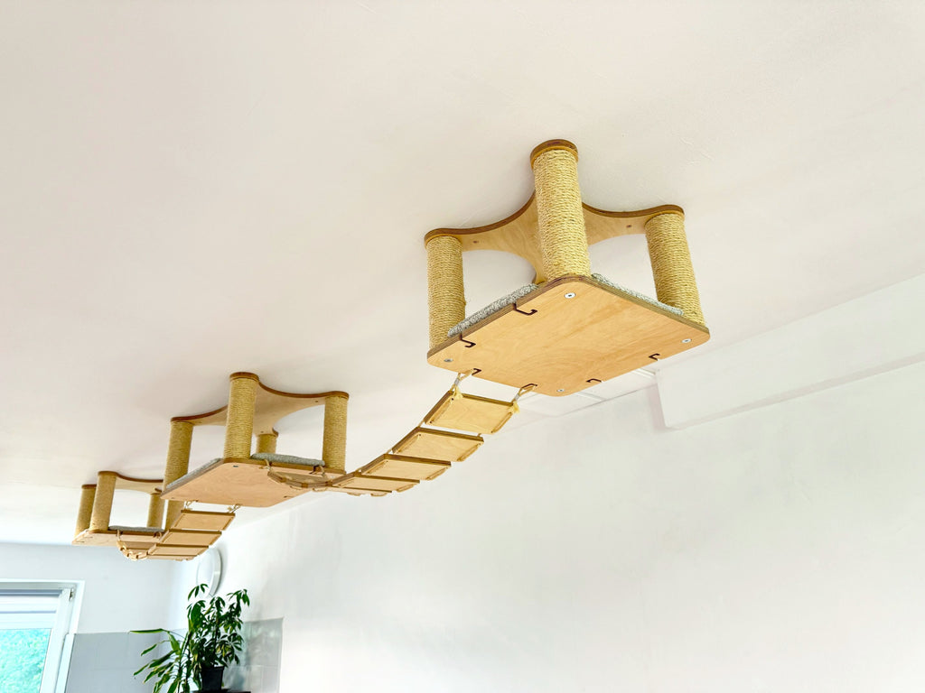 Ceiling Cat Adventure Set �?Shelves & Climbing Bridges