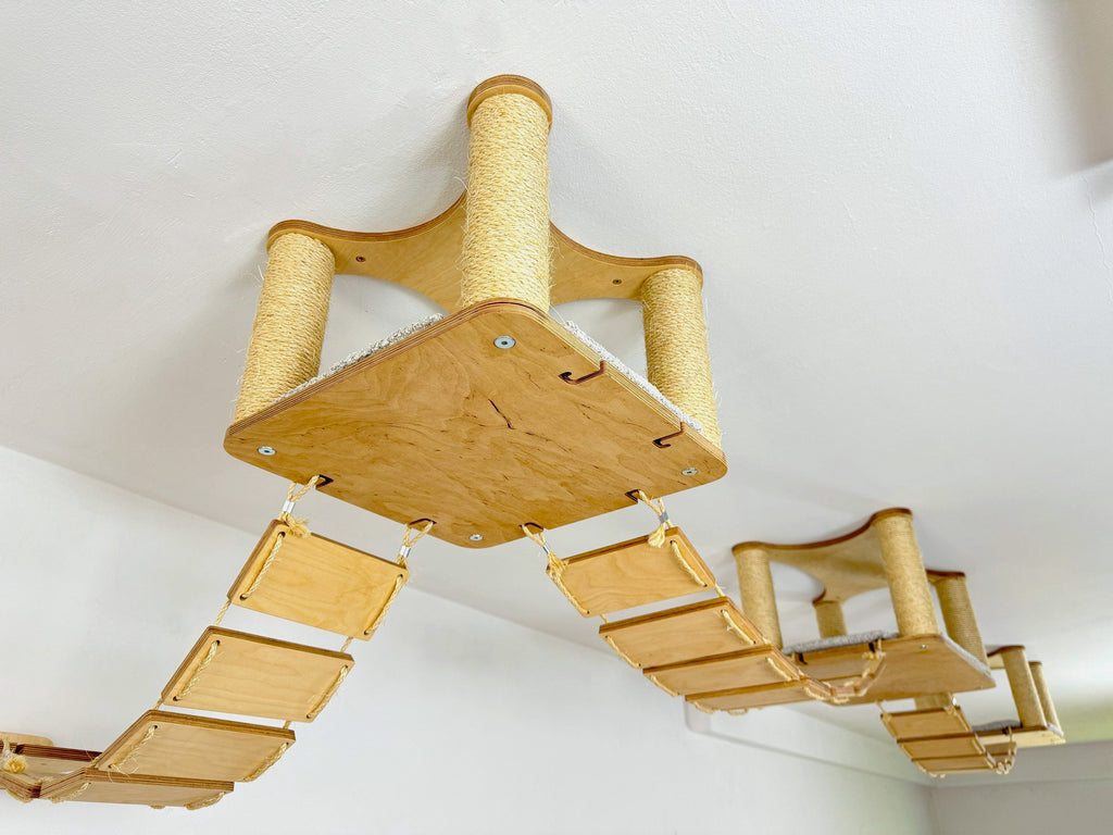 Ceiling Cat Adventure Set �?Shelves & Climbing Bridges