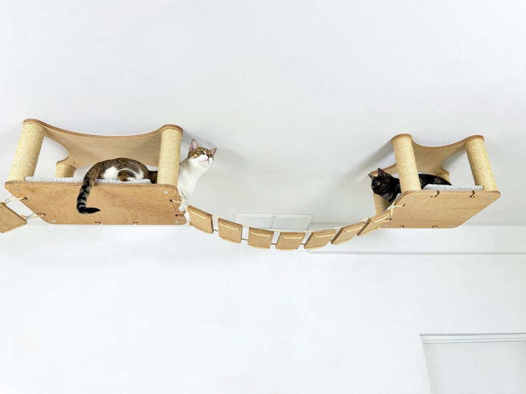 Ceiling Cat Adventure Set �?Shelves & Climbing Bridges