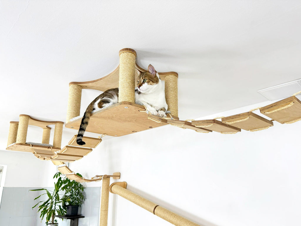 Ceiling Cat Adventure Set �?Shelves & Climbing Bridges