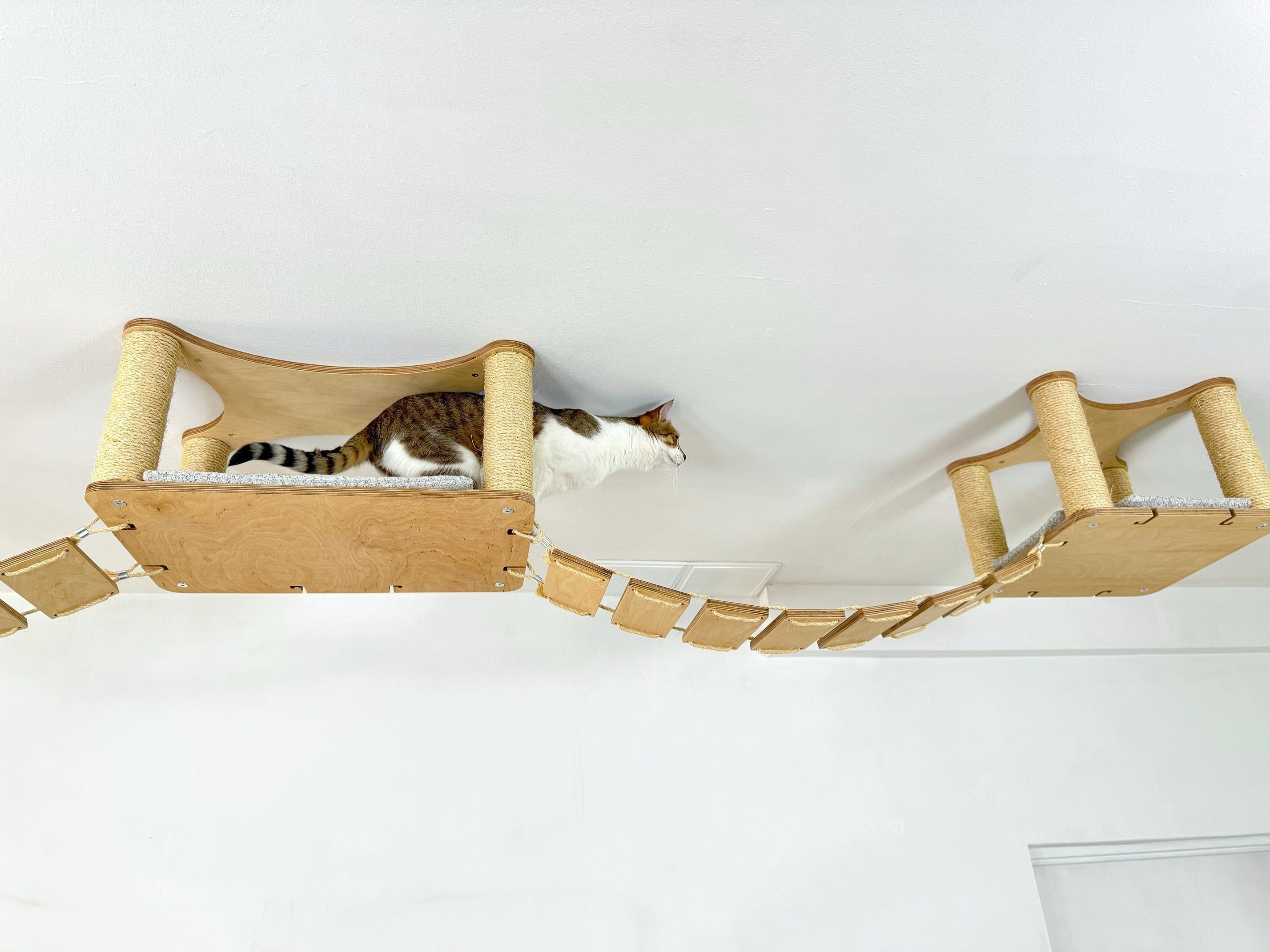 Ceiling Cat Adventure Set �?Shelves & Climbing Bridges
