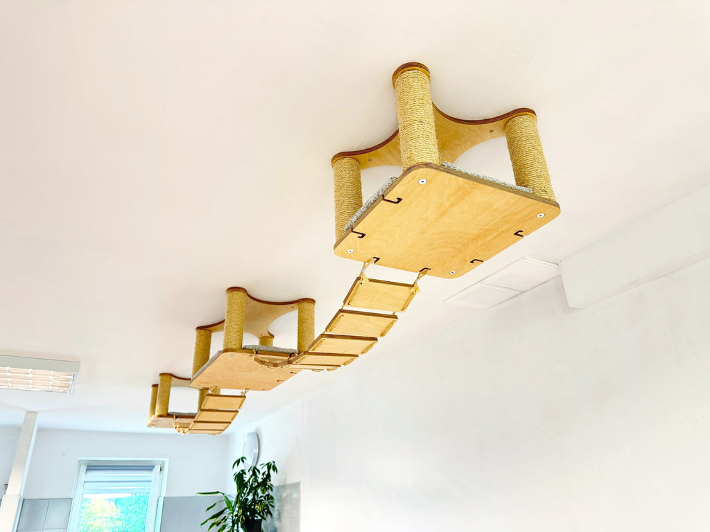 Ceiling Cat Adventure Set �?Shelves & Climbing Bridges