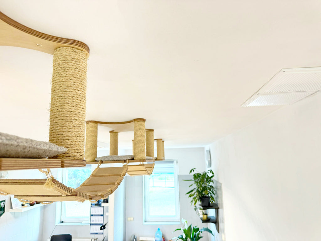 Ceiling Cat Adventure Set �?Shelves & Climbing Bridges