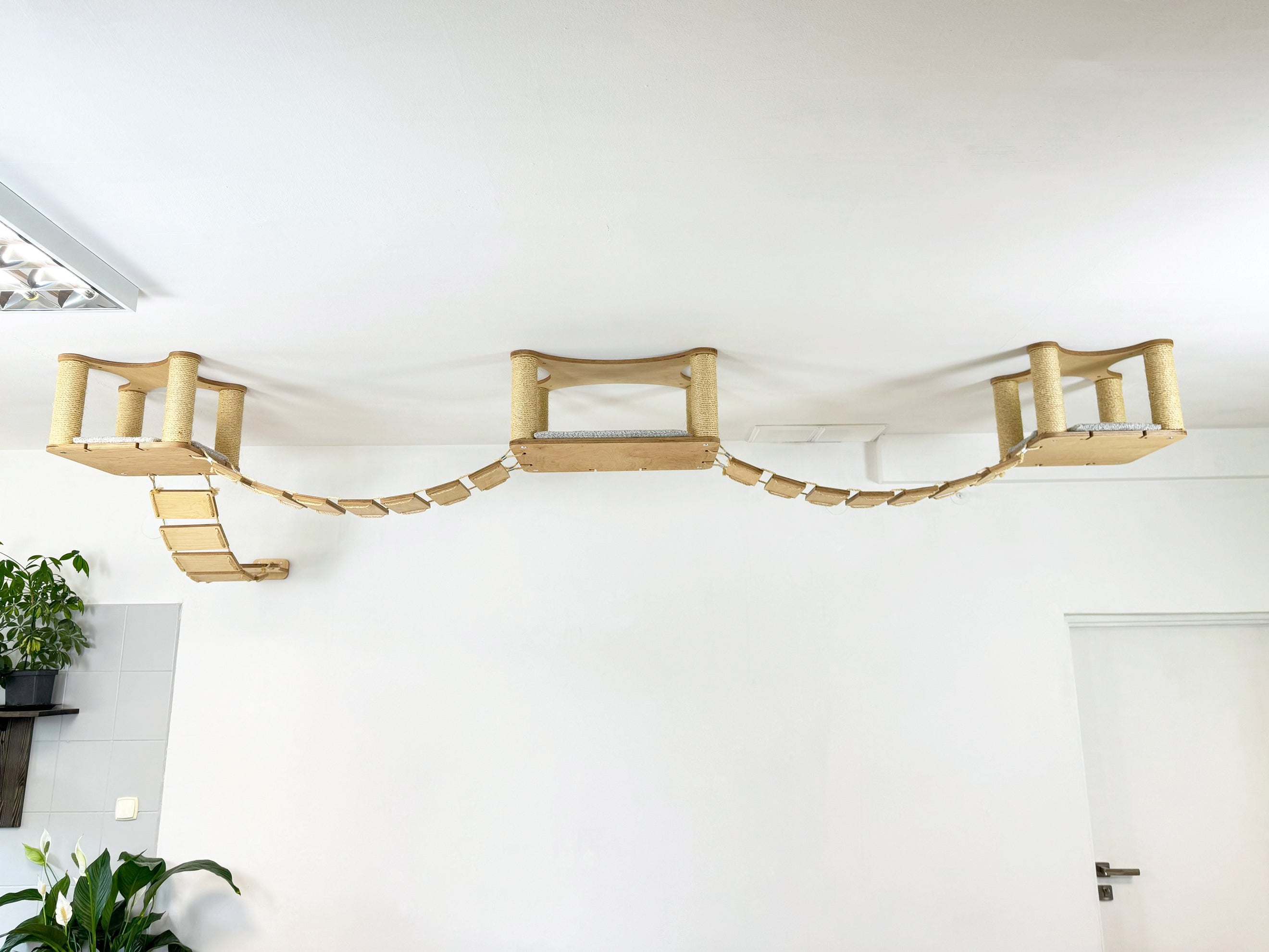 Ceiling Cat Adventure Set �?Shelves & Climbing Bridges