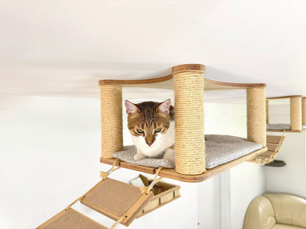 Extended Ceiling Cat Bed with Sisal Columns