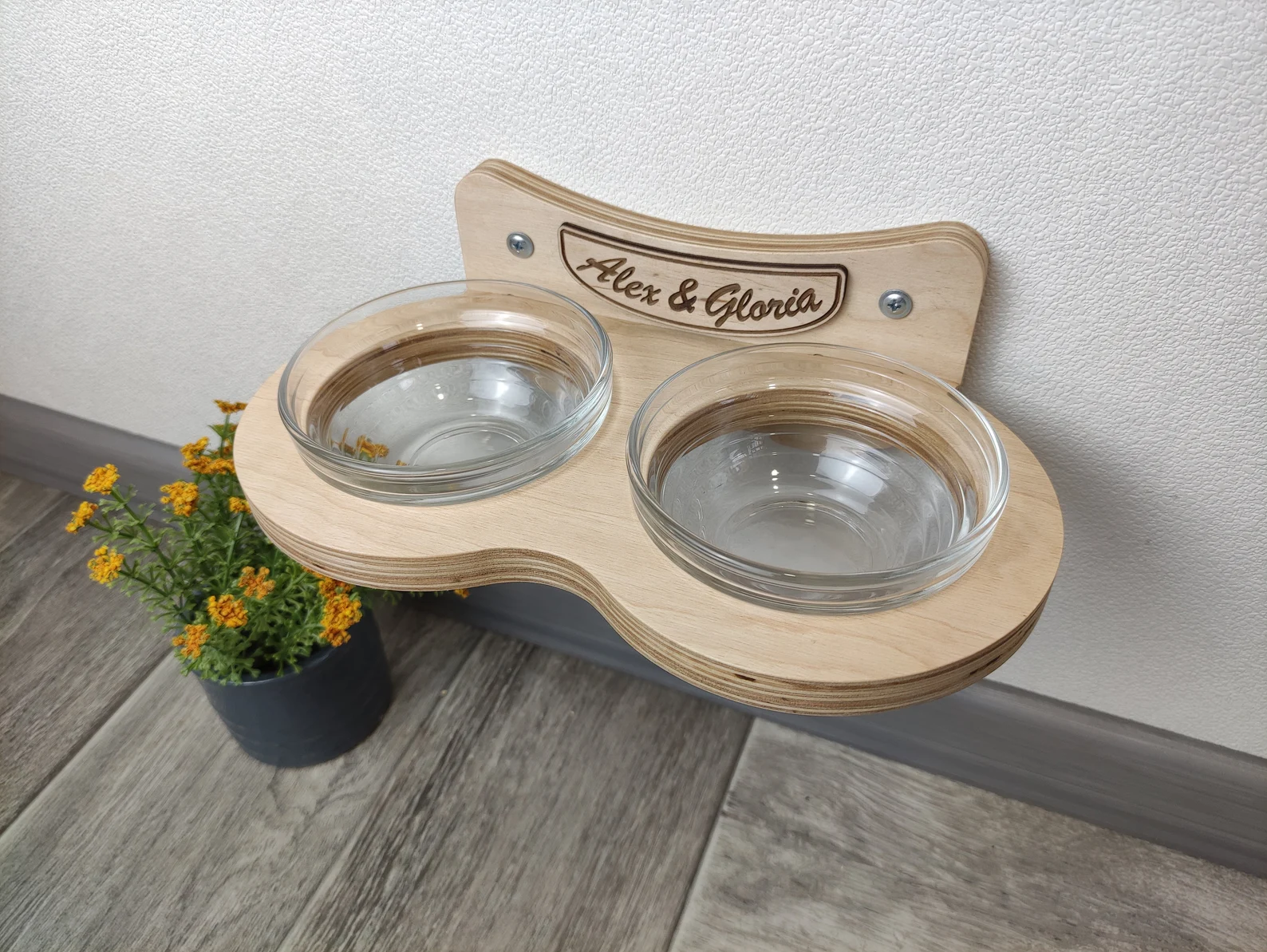 Double Cat Feeder with Glass Bowls (Wall-Mounted)