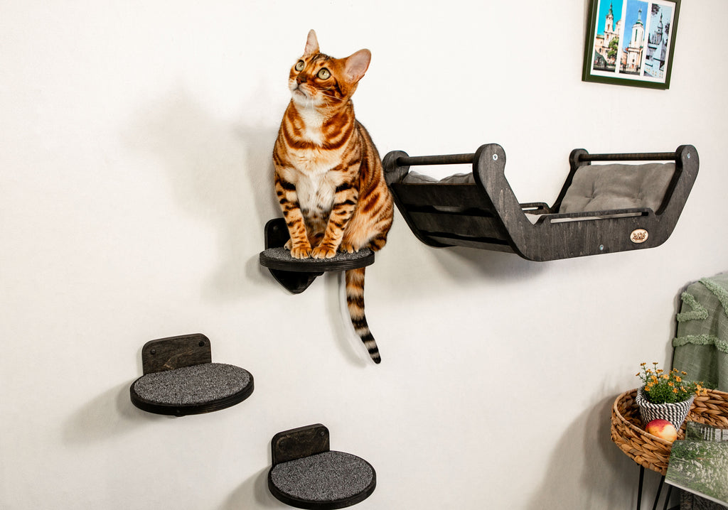 Modern Cat Wall Bed Set & 3 Steps: Climbing System