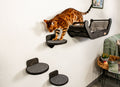 Modern Cat Wall Bed Set & 3 Steps: Climbing System