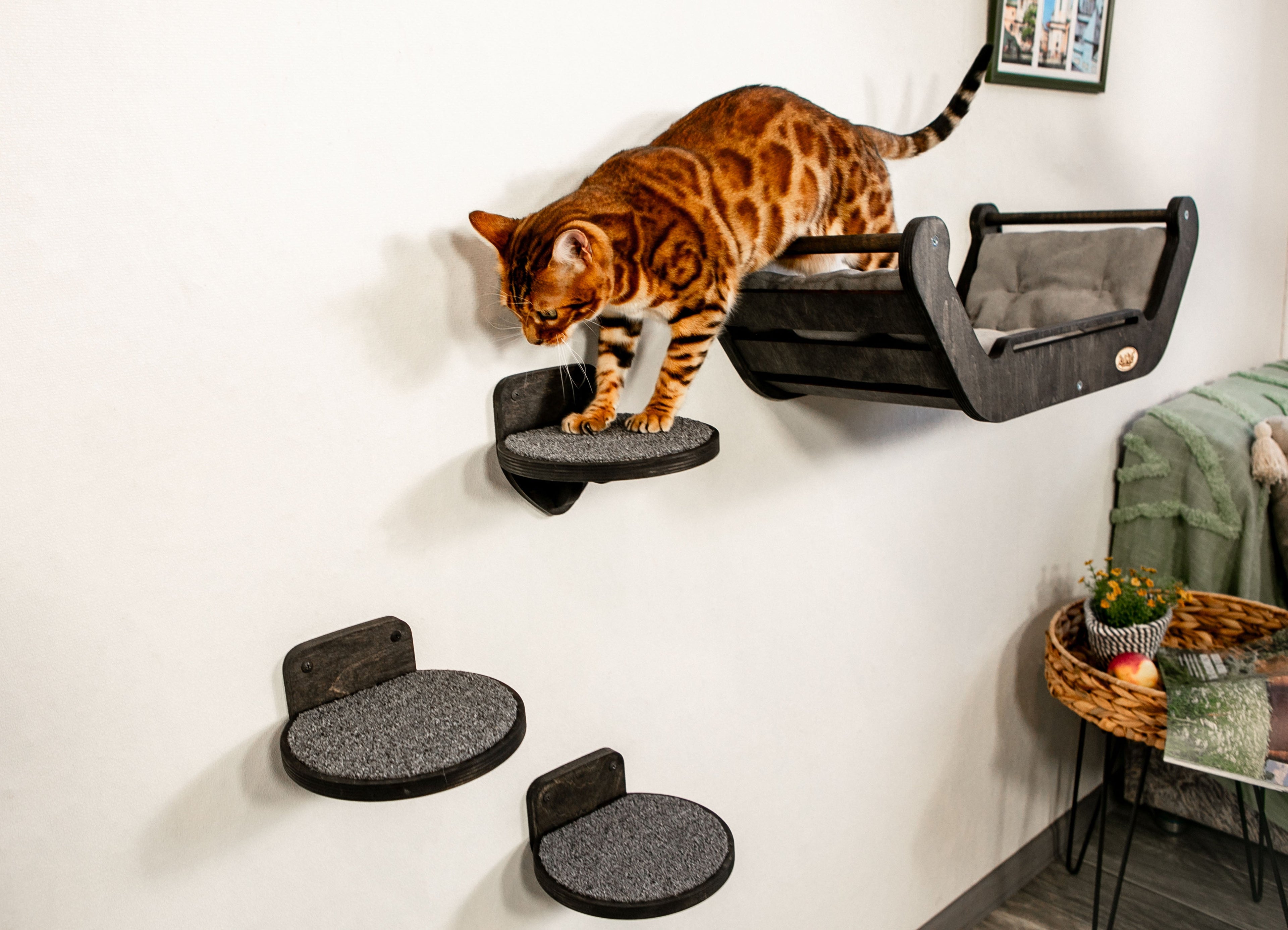Modern Cat Wall Bed Set & 3 Steps: Climbing System