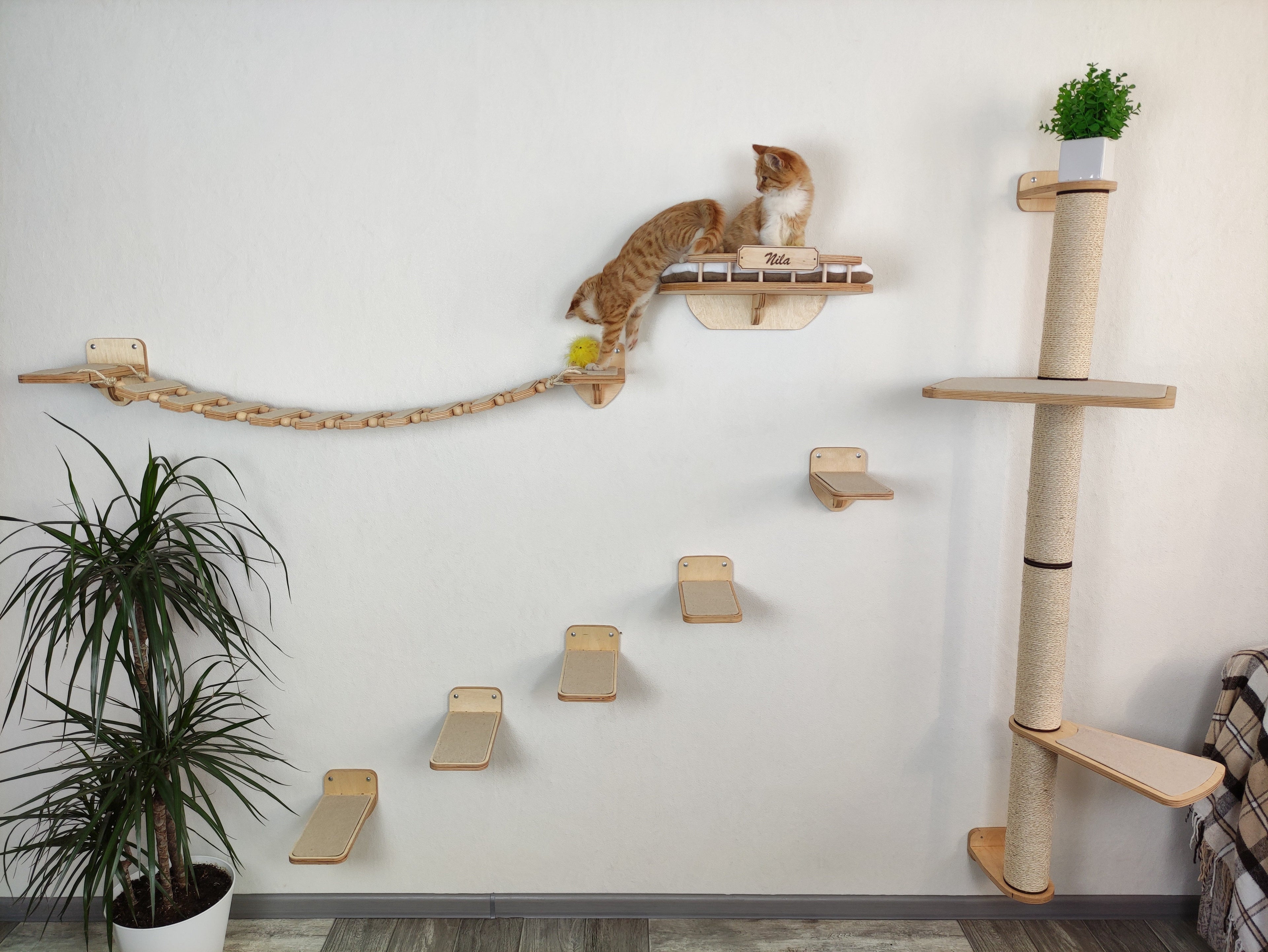 Large Set of Cat Furniture Bony - Scratching Post, Bed, Bridge, Steps