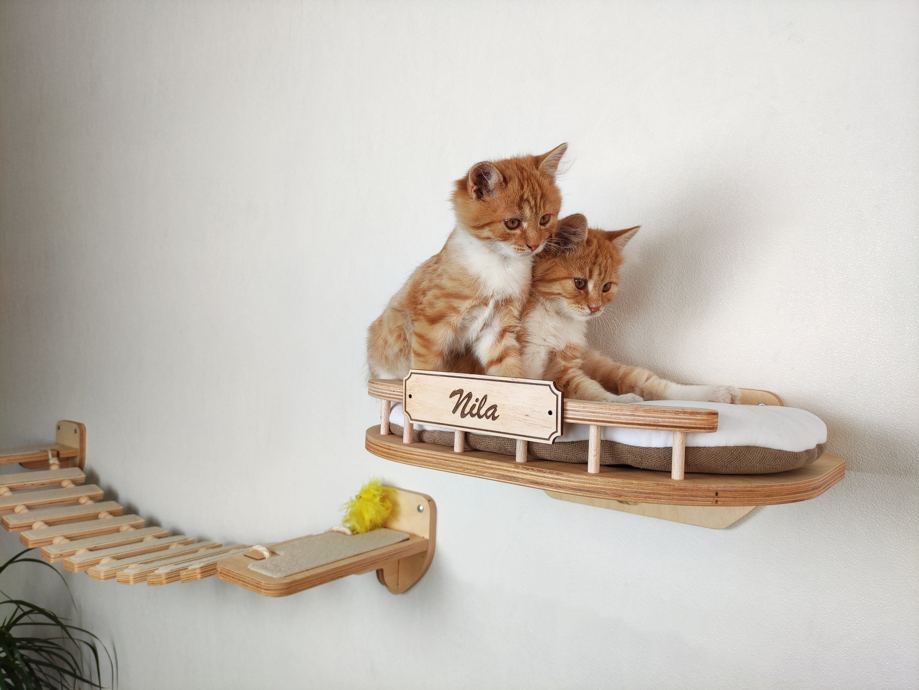 Large Set of Cat Furniture Bony - Scratching Post, Bed, Bridge, Steps