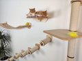 Cat Wall Climbing & Play Set - Scratch Post, Shelves, Bridge